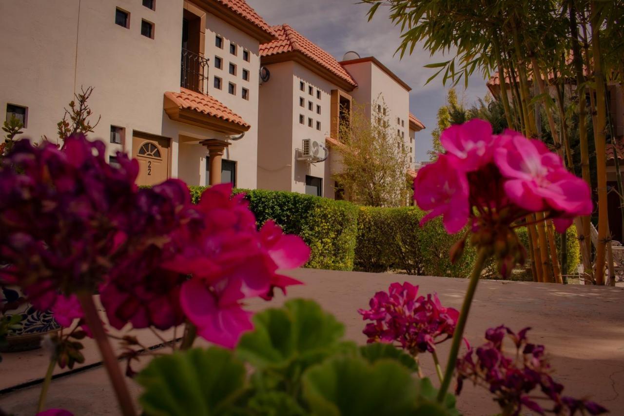Suites Cervantes Chihuahua Kültér fotó